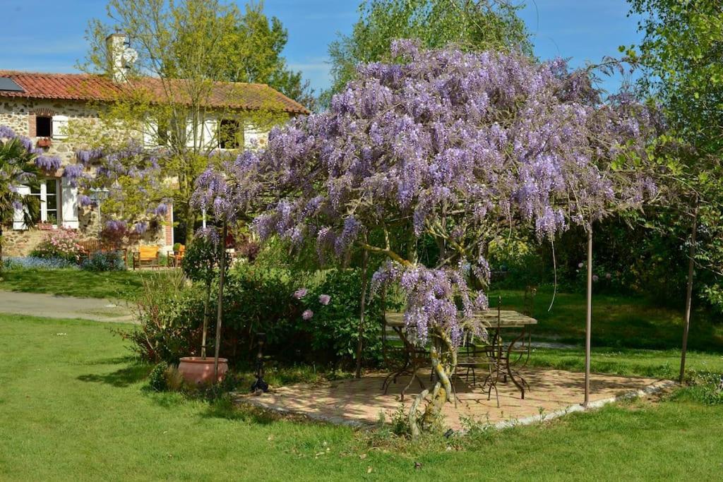 La Frapperie Bed & Breakfast La Pommeraie-sur-Sèvre Dış mekan fotoğraf