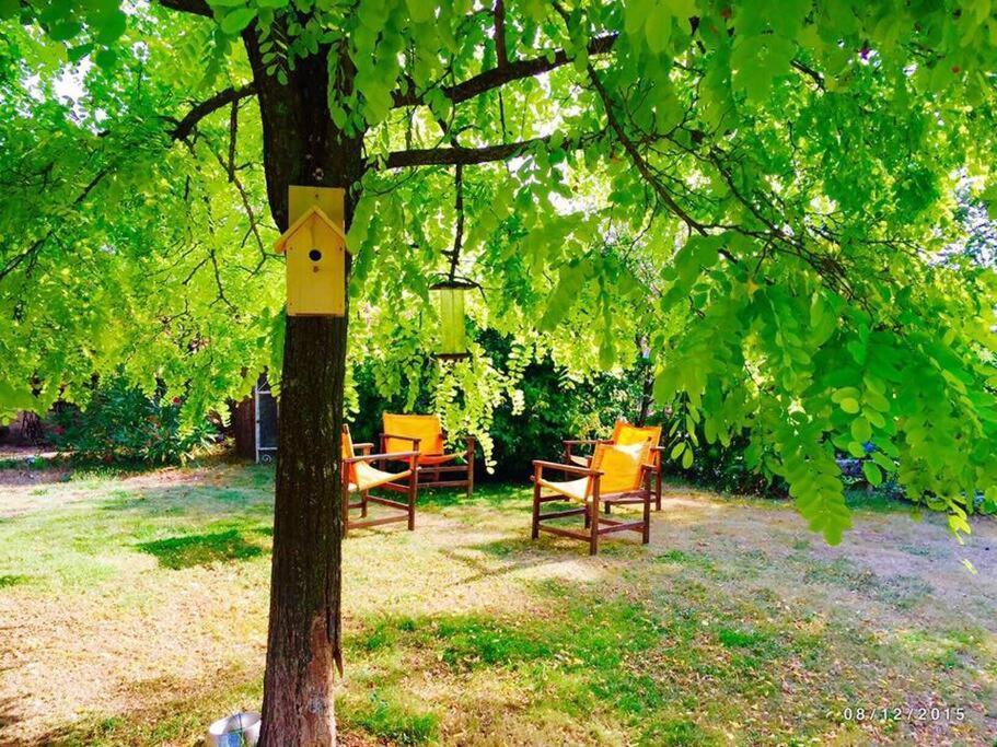La Frapperie Bed & Breakfast La Pommeraie-sur-Sèvre Dış mekan fotoğraf