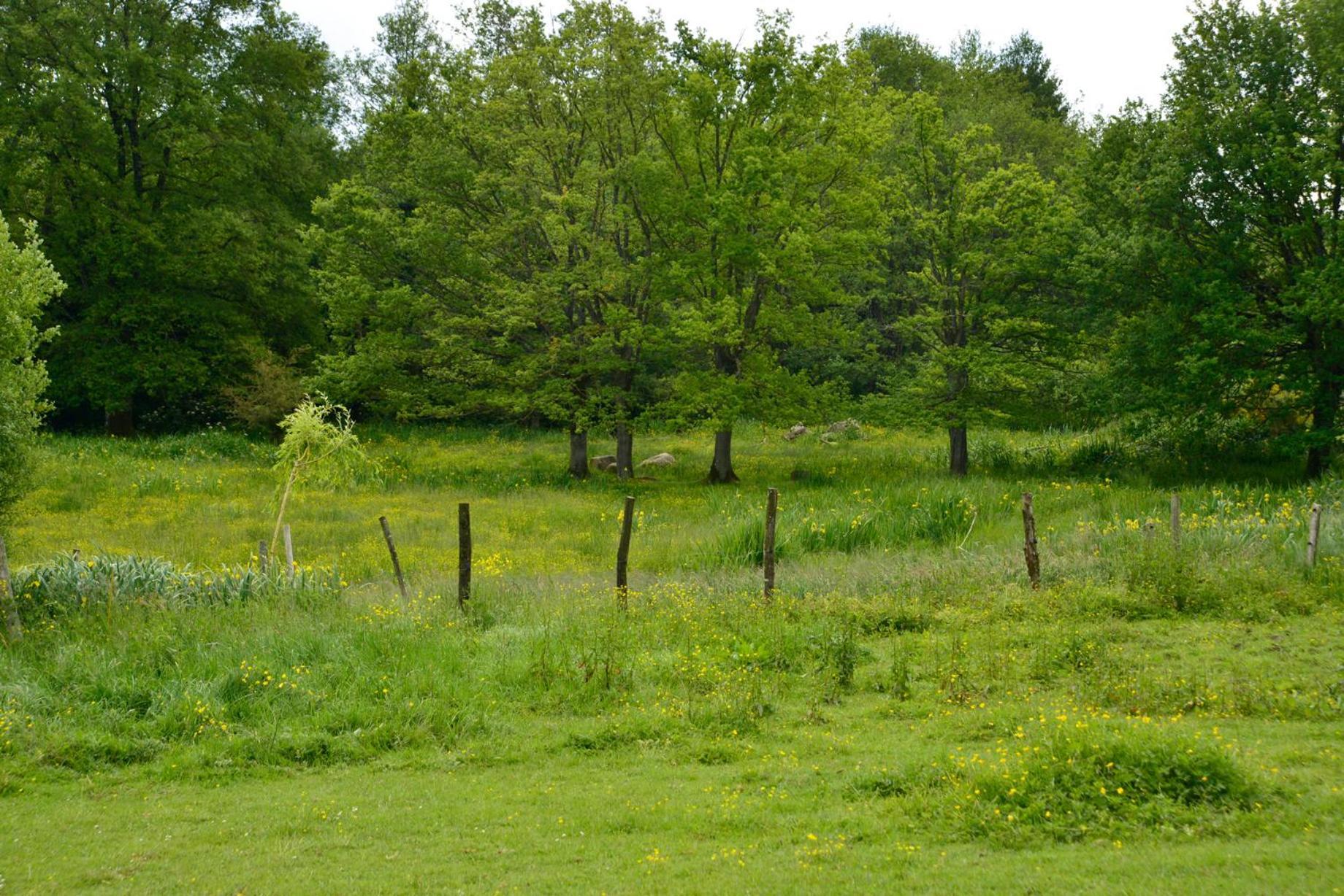 La Frapperie Bed & Breakfast La Pommeraie-sur-Sèvre Dış mekan fotoğraf