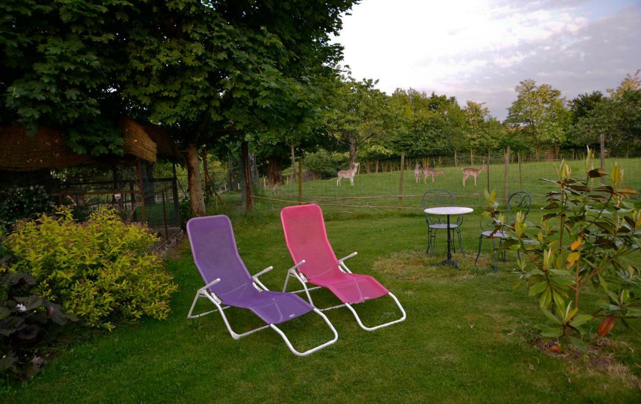 La Frapperie Bed & Breakfast La Pommeraie-sur-Sèvre Dış mekan fotoğraf